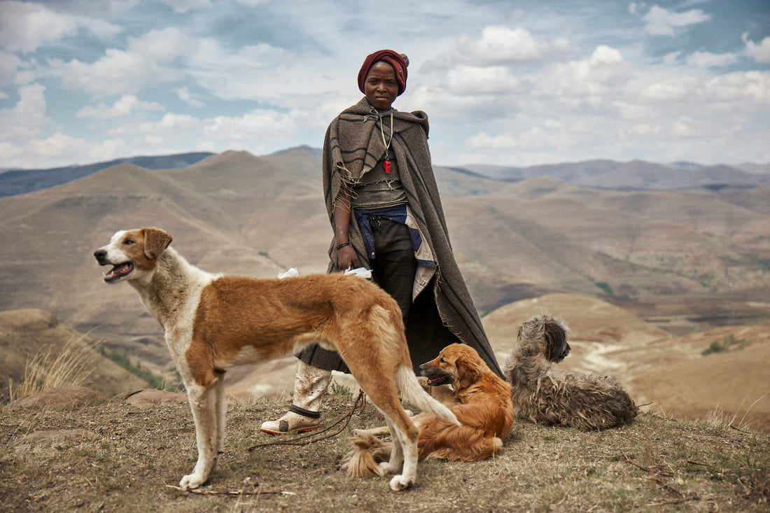 Shepherd Lesotho