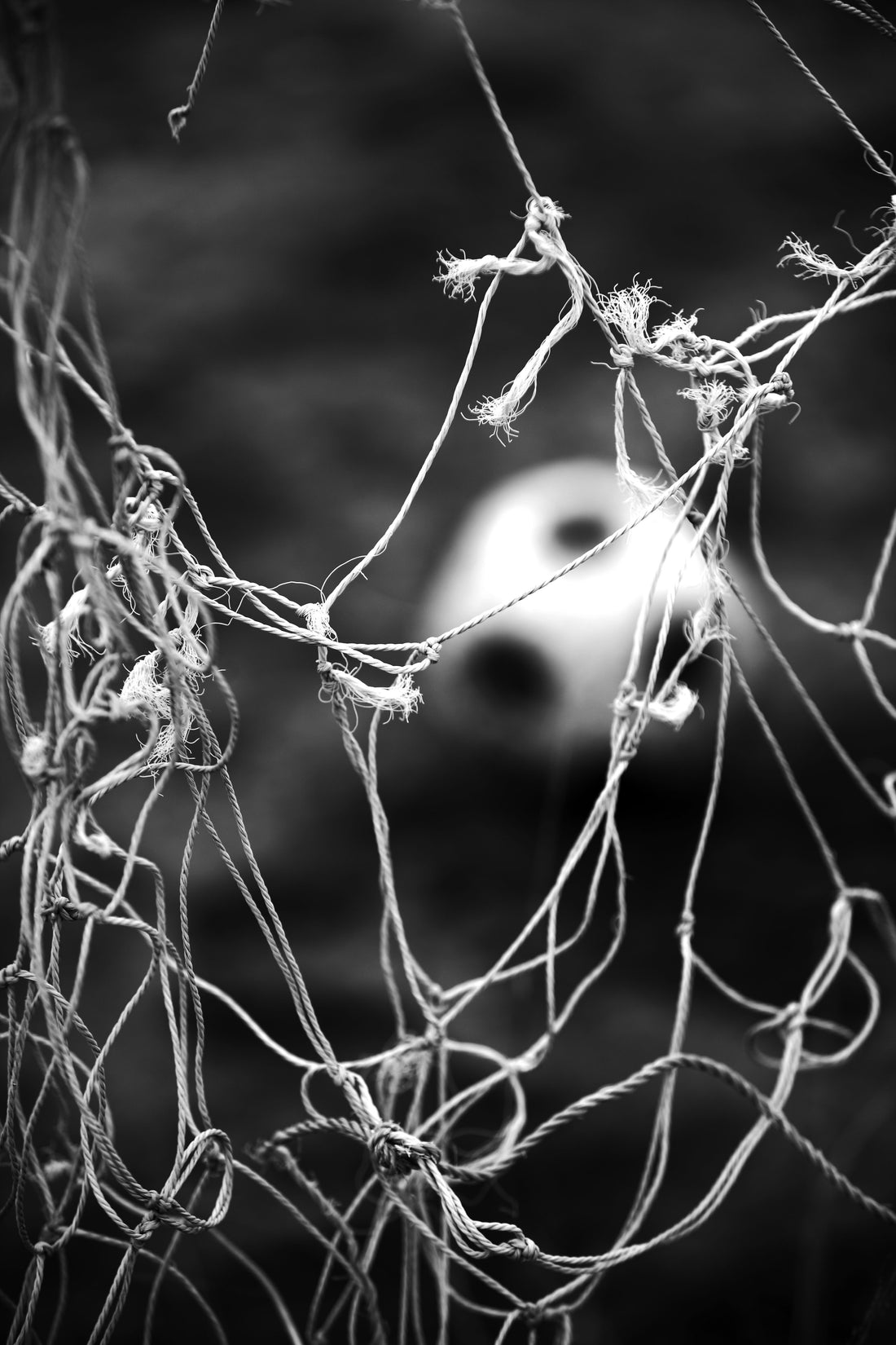 Broken nets, South Africa