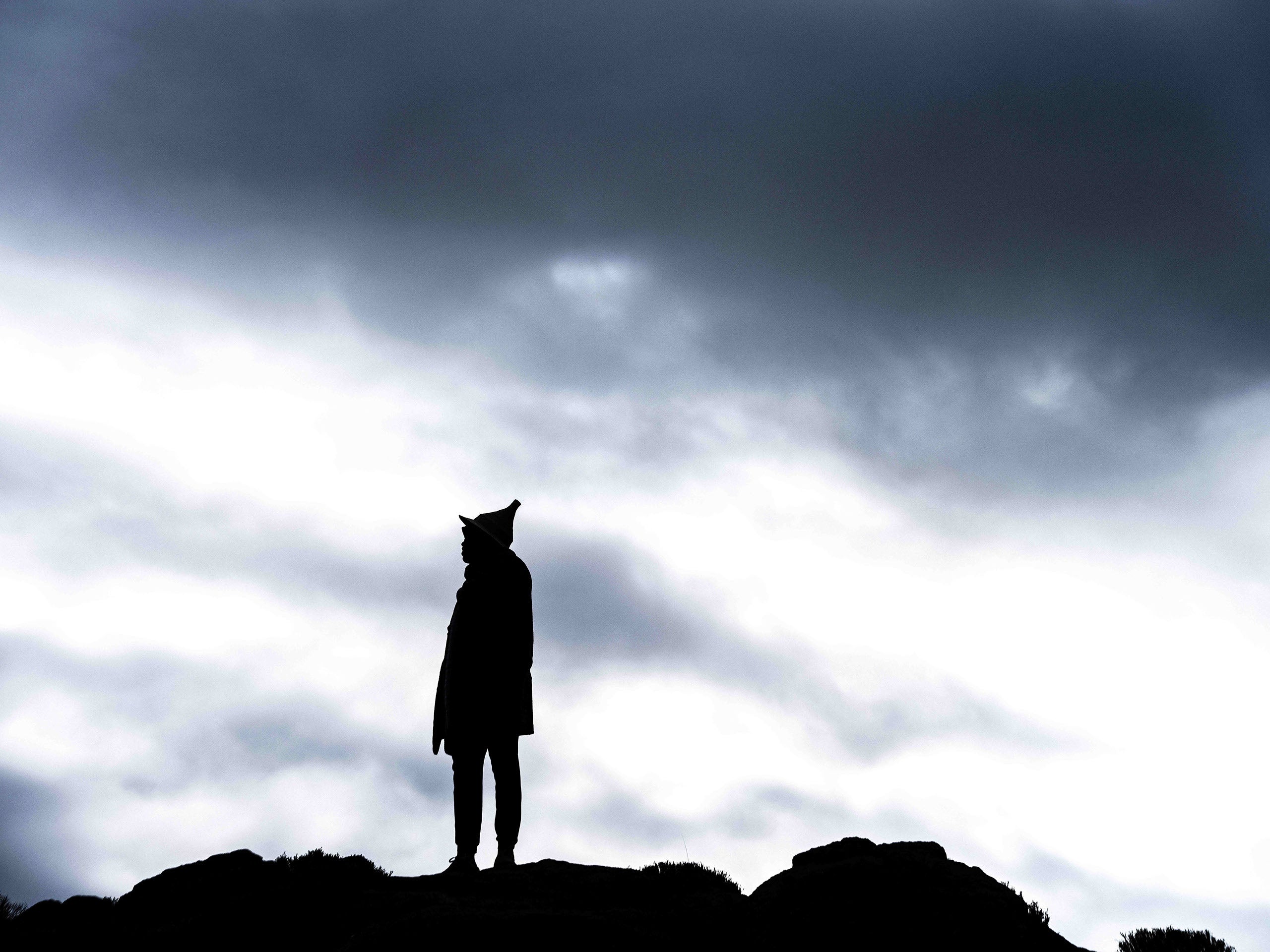 The Watcher