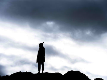 The Watcher