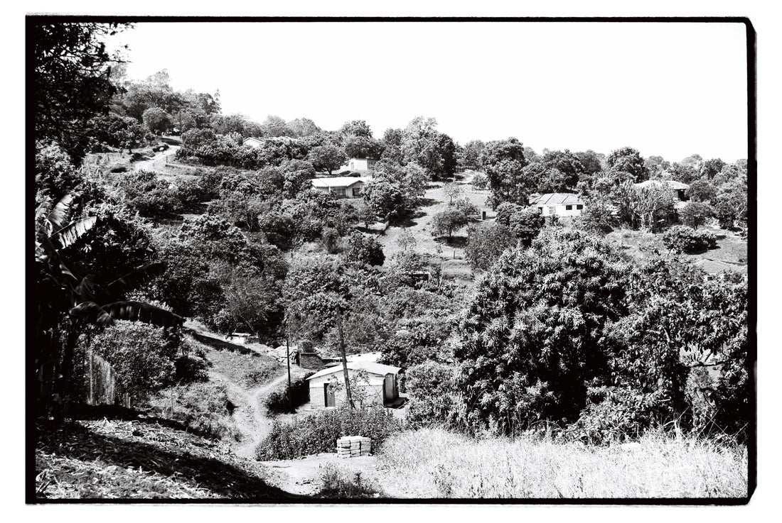 Views from Phiphidi home, Limpopo