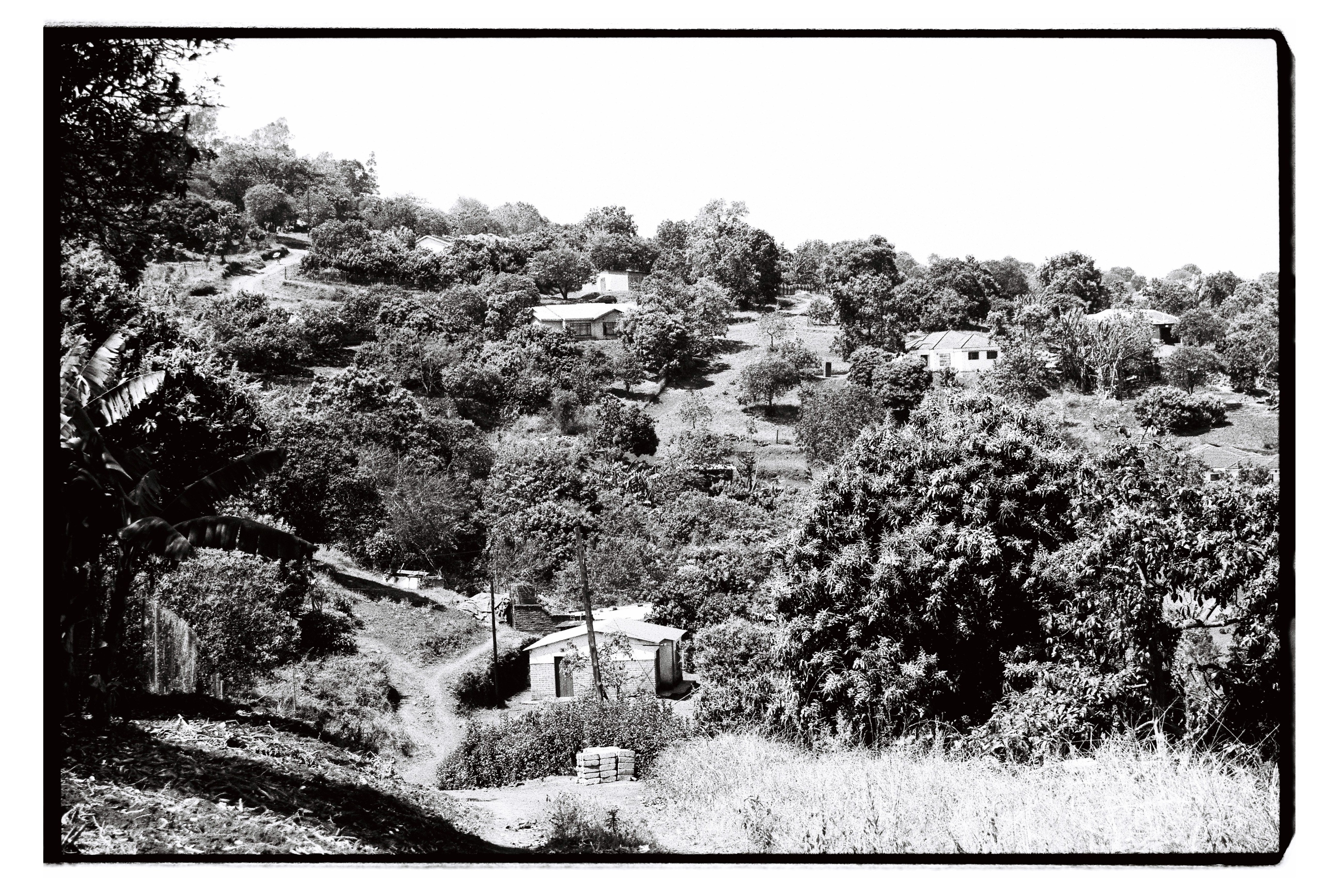 Views from Phiphidi home, Limpopo