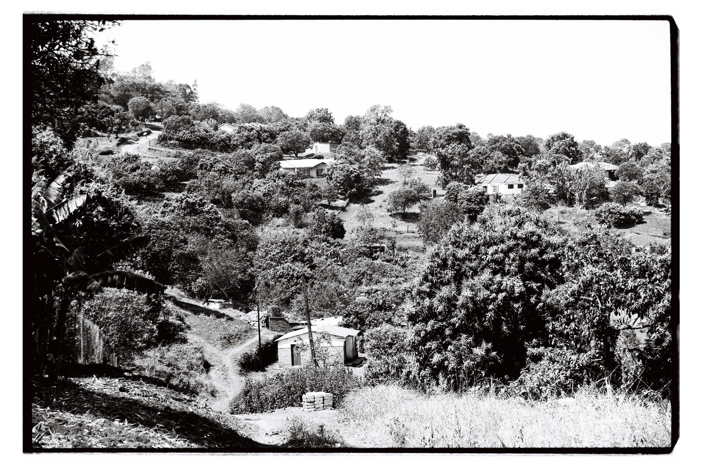 Views from Phiphidi home, Limpopo