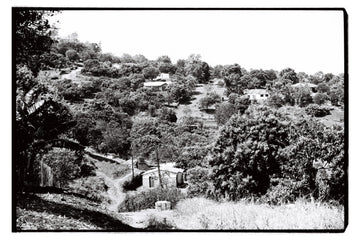 Views from Phiphidi home, Limpopo