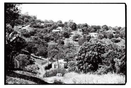 Views from Phiphidi home, Limpopo