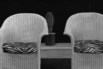 Two Straw Chairs &amp; Cactus.