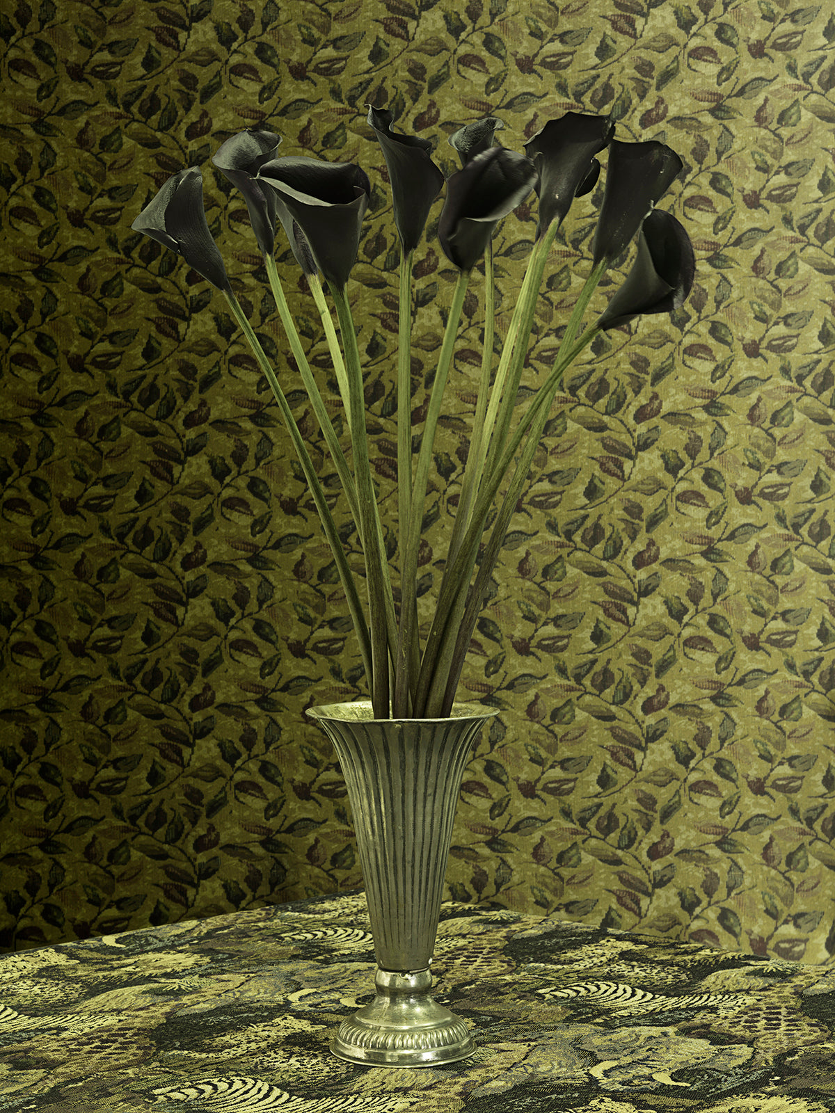 Black Lillies