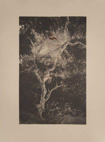 UmLahlankosi i