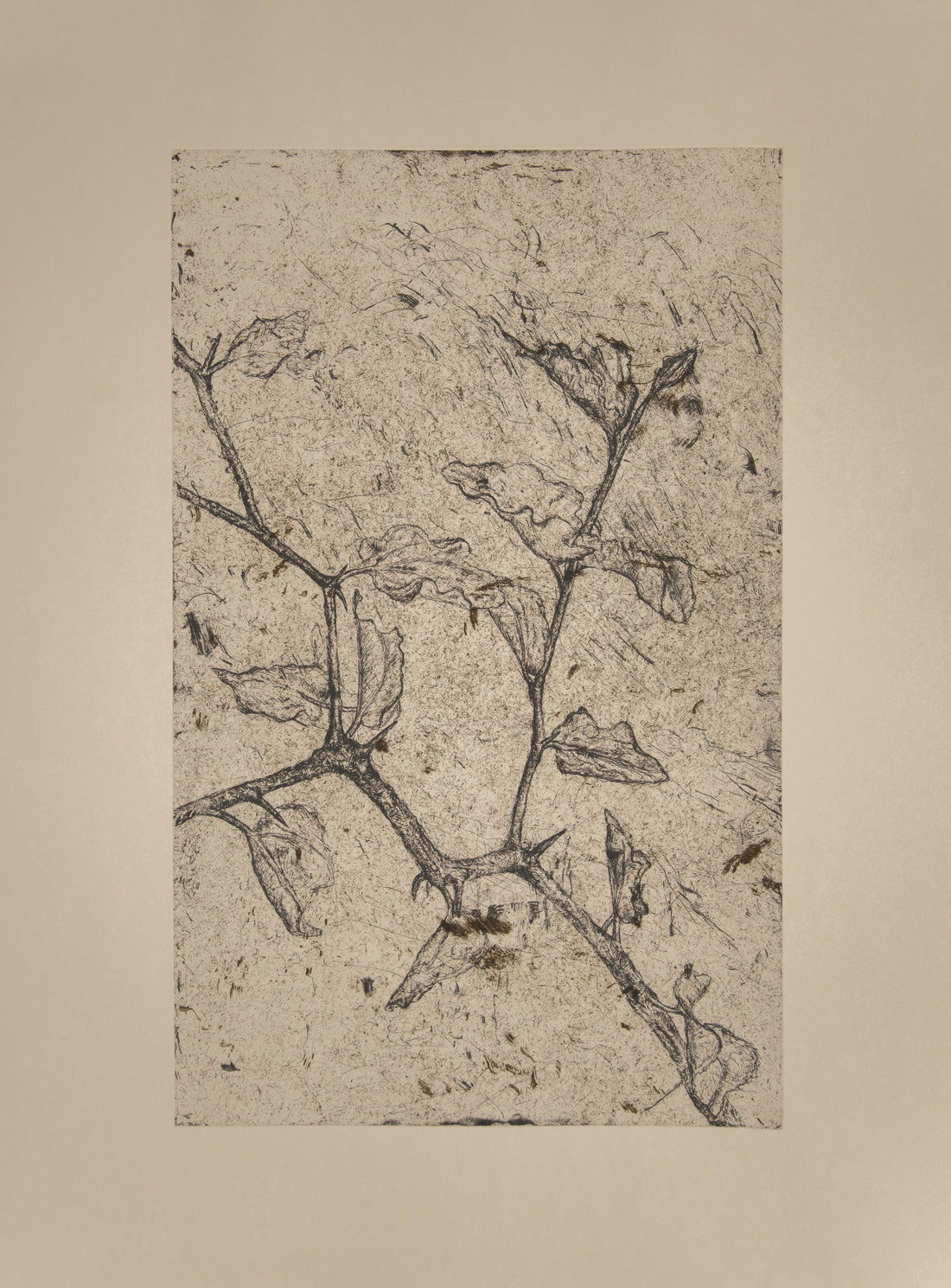 UmLahlankosi ii