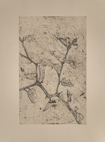 UmLahlankosi ii