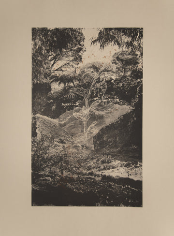 UmLahlankosi iii