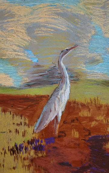 The Rider
