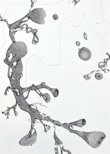 Stillness I