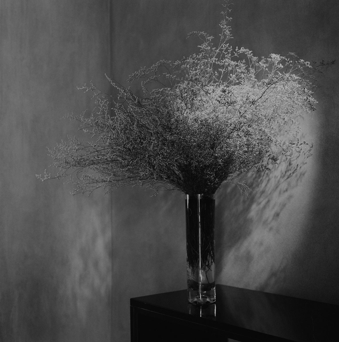 Thistle on Black Table
