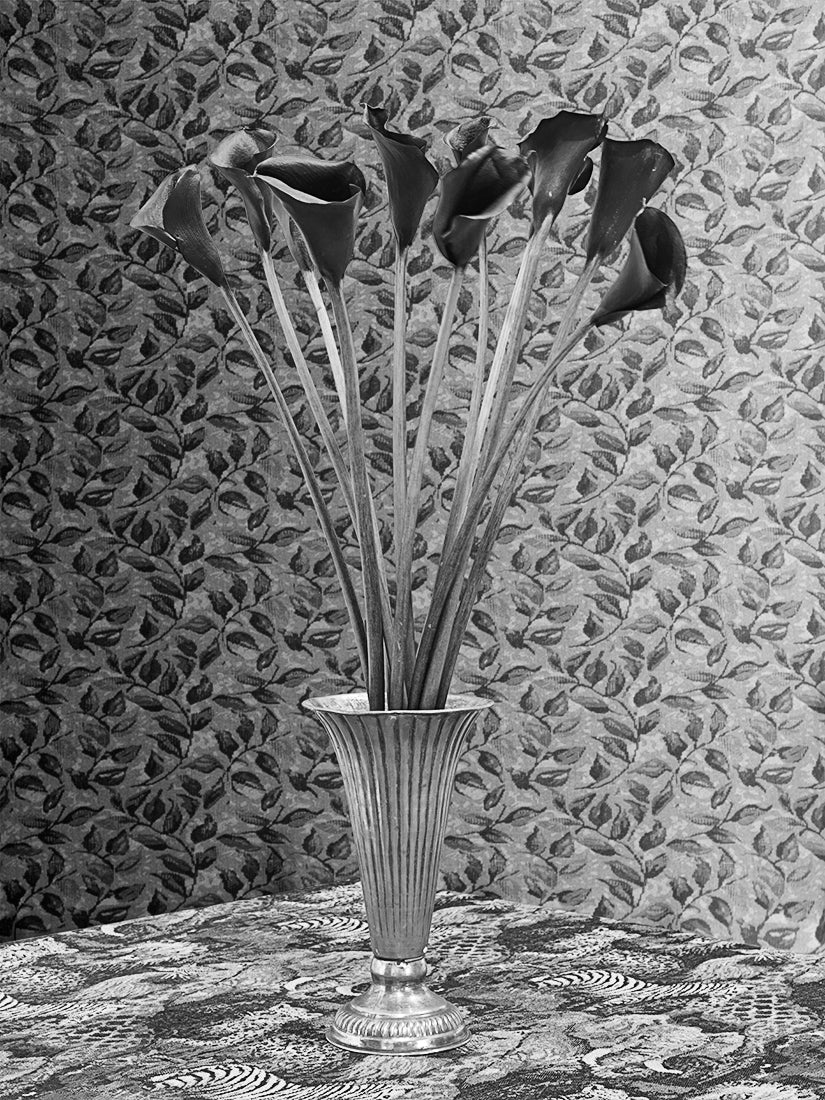 Black Lillies.