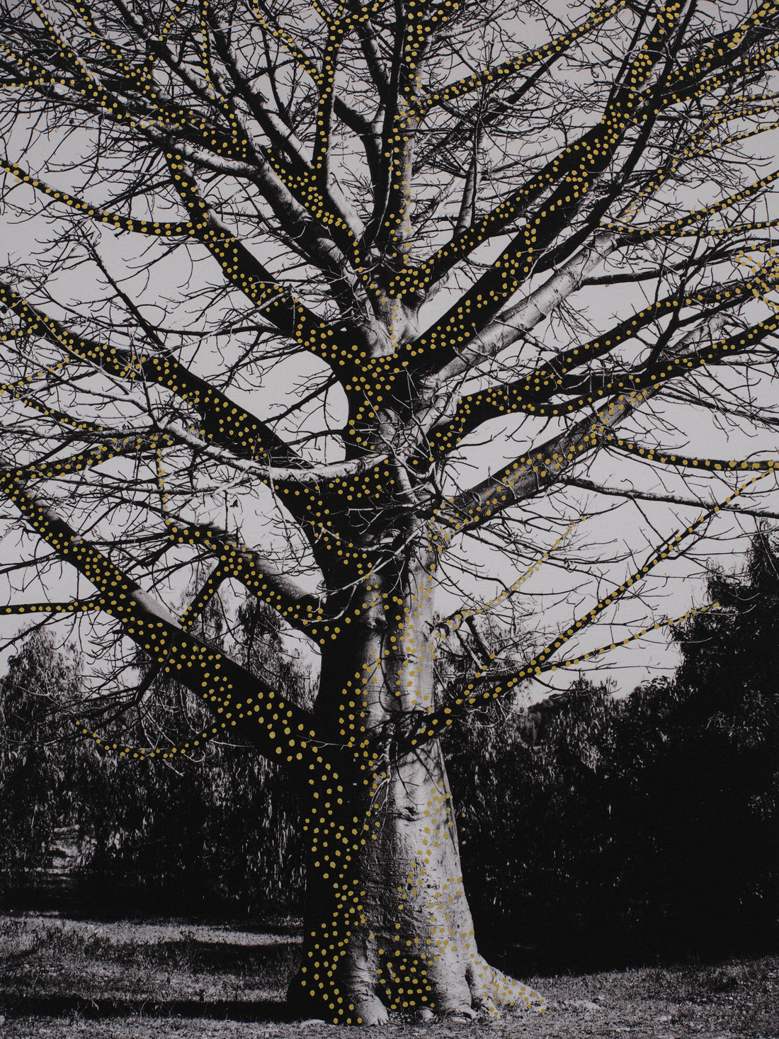 The Tree of Spirits