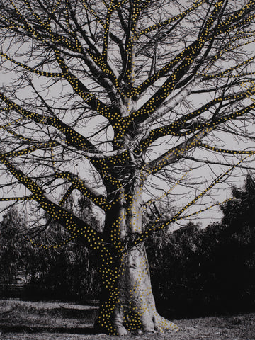 The Tree of Spirits
