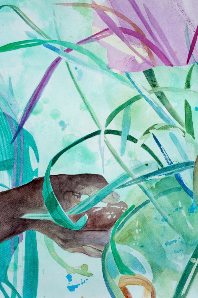 Ribbons of Life