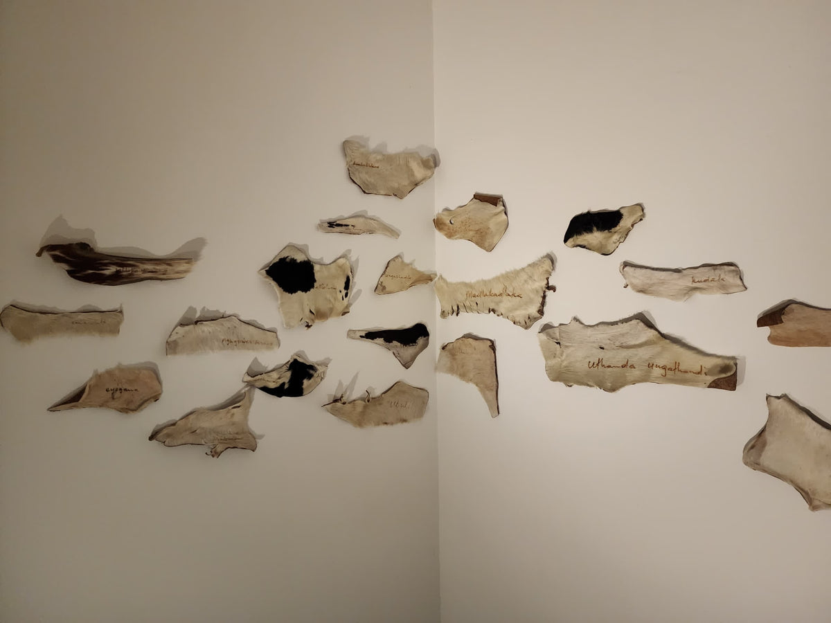 Incwadi kaKhulu (Khulus letter)