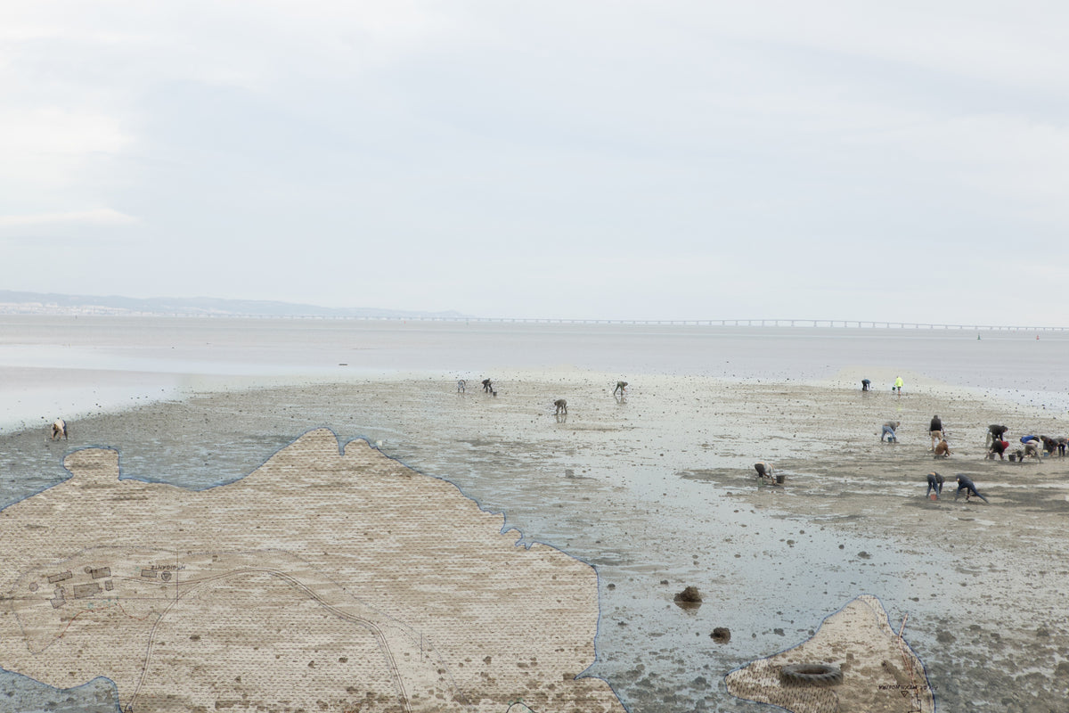 Barreiro in Ecologies: River, #1