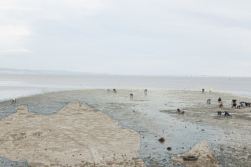 Barreiro in Ecologies: River, #1