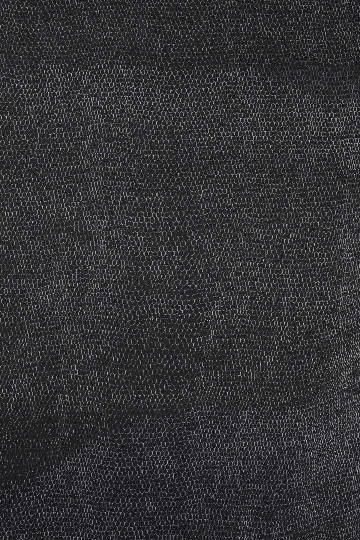 Abyss of deep time silver on black book linen