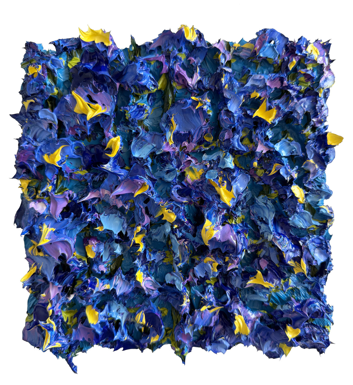 Mini Irises Study