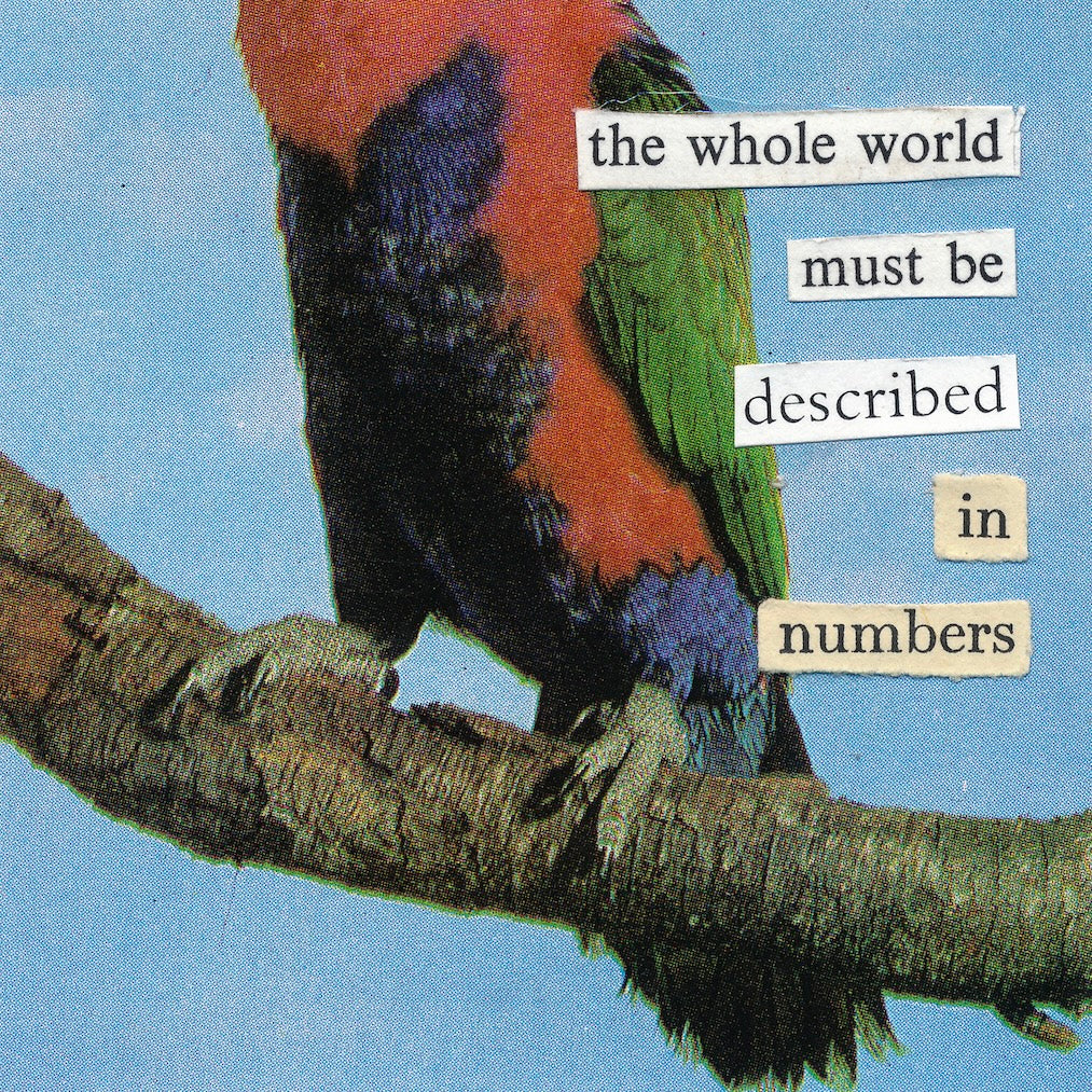 The whole world