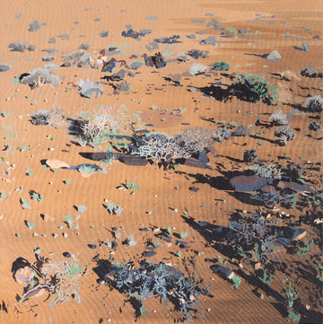Untitled (Karoo Landscape)