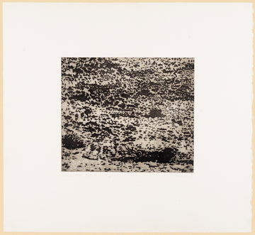 Untitled III