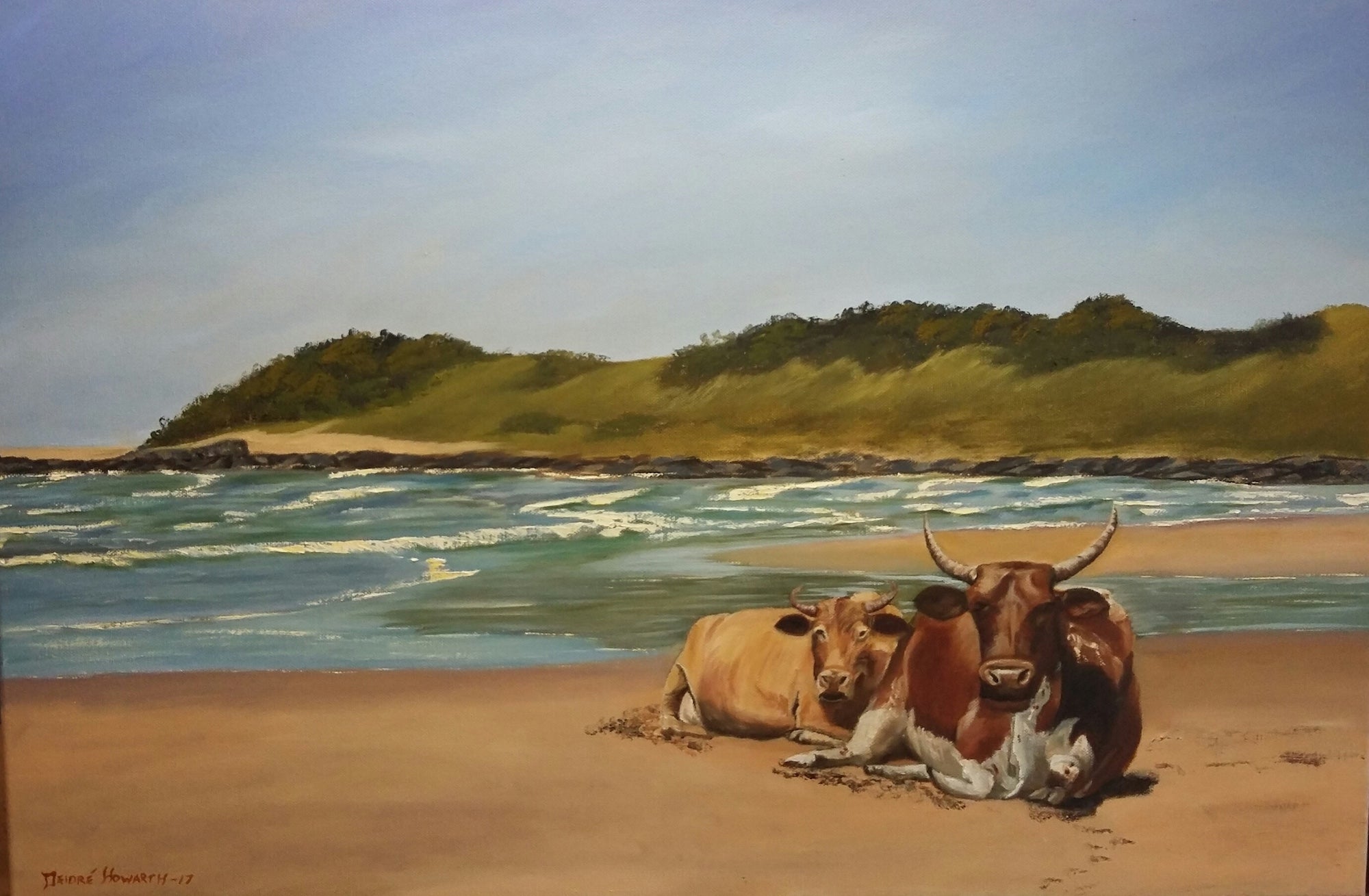A Cow's Life in the Transkei