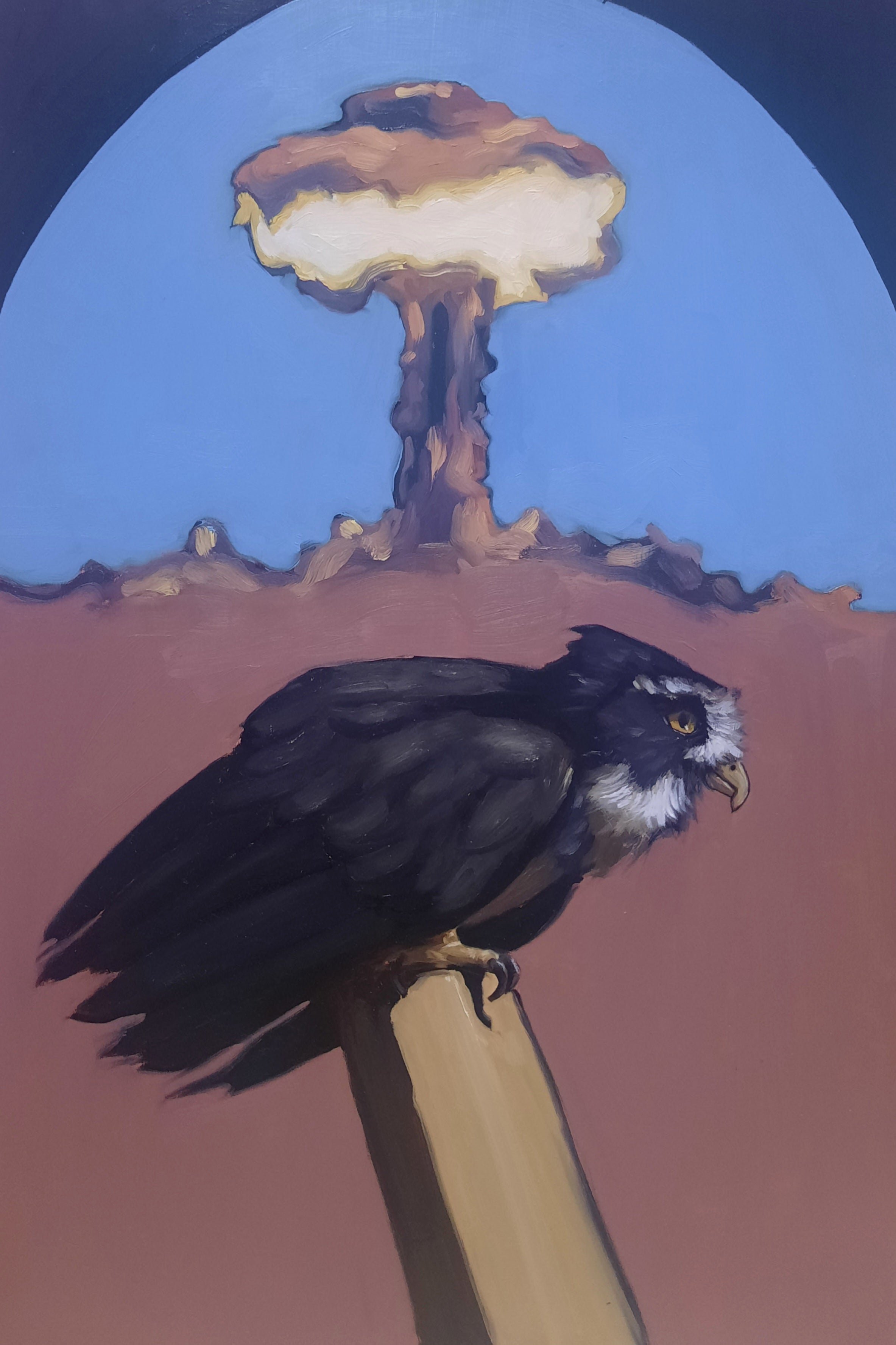 Falcon