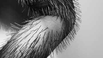 Soft Skin - No Touch