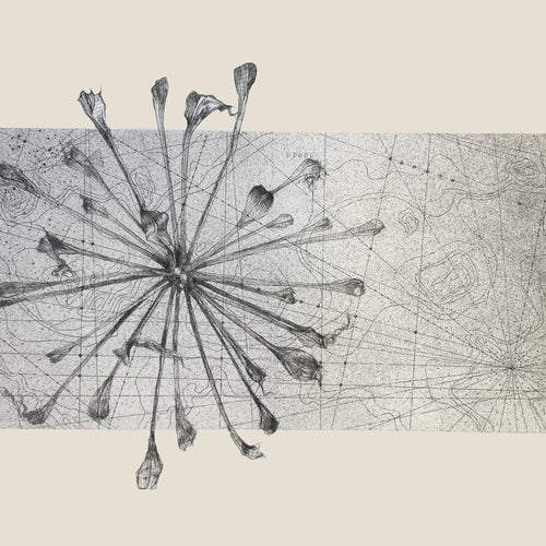 Andie Rodwell | Latitudes Online