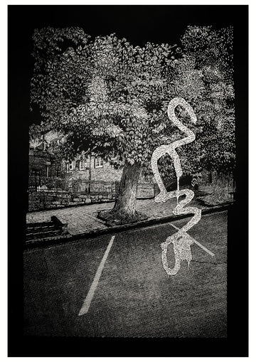 A Collection of Shadows
