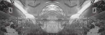 Distorted Memory II