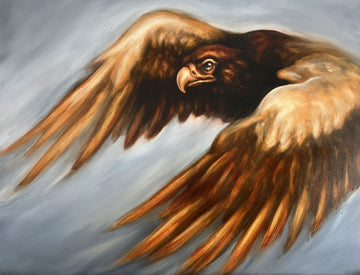 Aetos