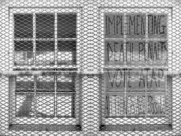 Window
