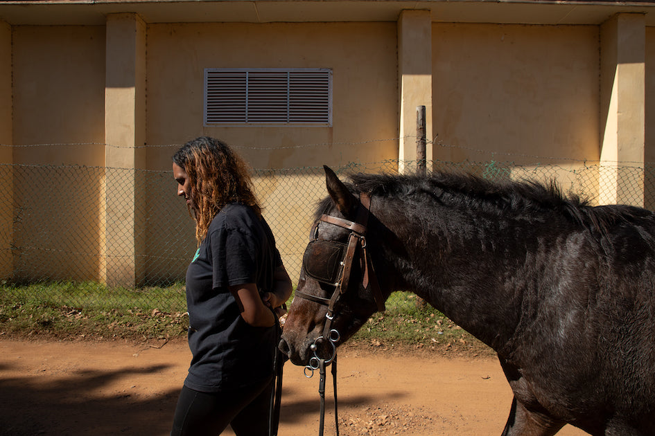 Lindsay Jacobs with Starlight. Genadendal