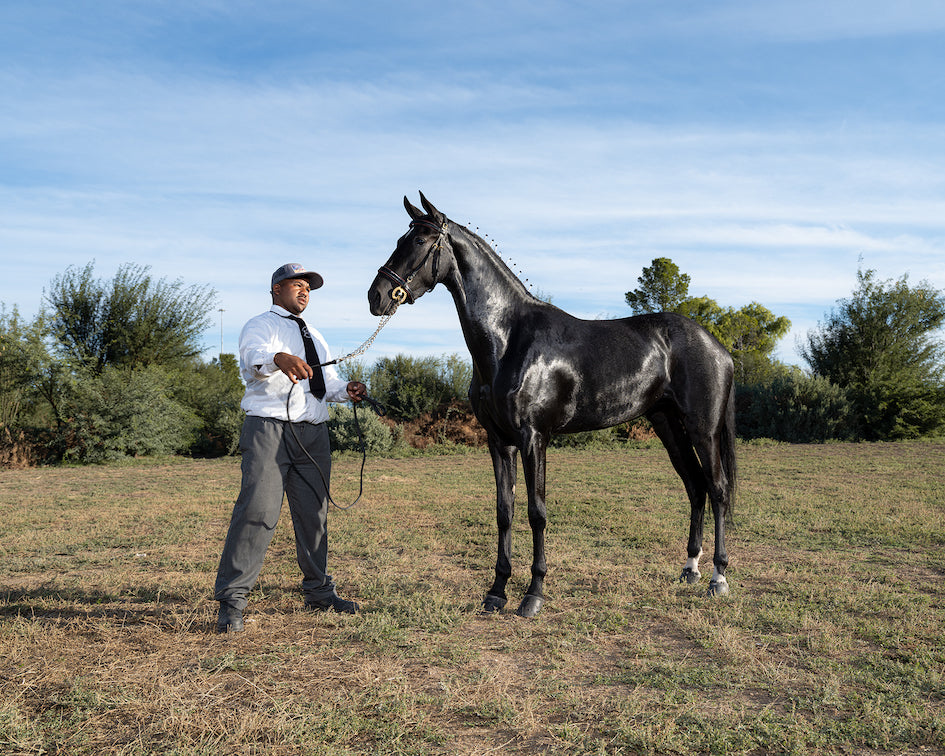 Rafeeq Anthony with Du-Dre Highland Queen, Du-Dre Stud. South African Hackney Championships, Beaufort West