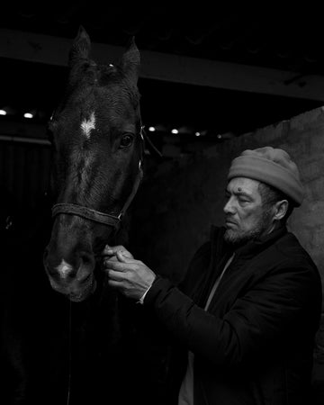 Abbas Bouwers with Morocco Masterpiece owned by Abdullah Davids, Morocco Stud. Swartland Show, Moorreesburg