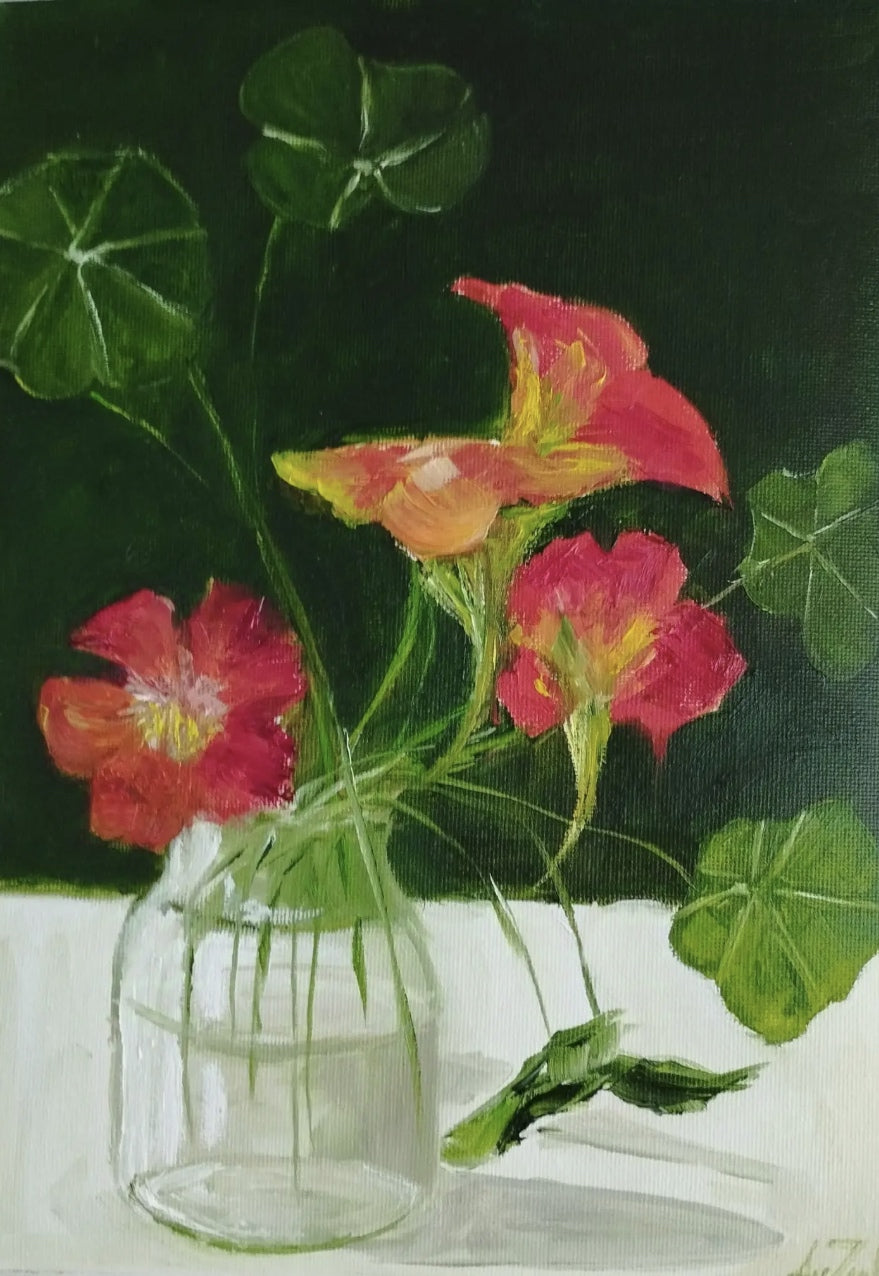 Nasturtium joy