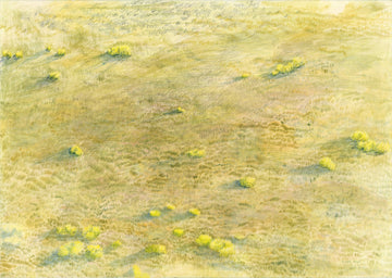 Bokkeveld in August