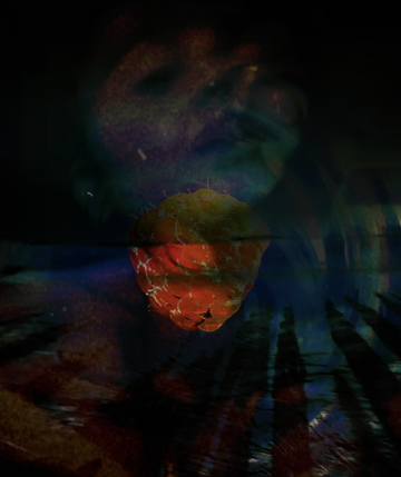 Things are not as they seem