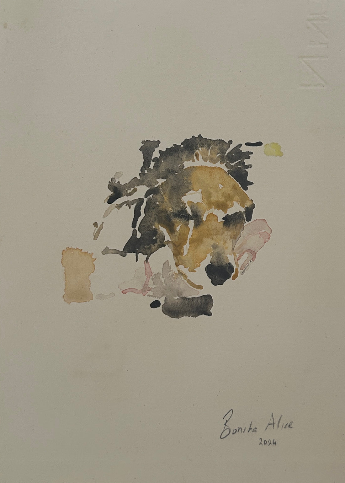 Dogs of Instagram 1
