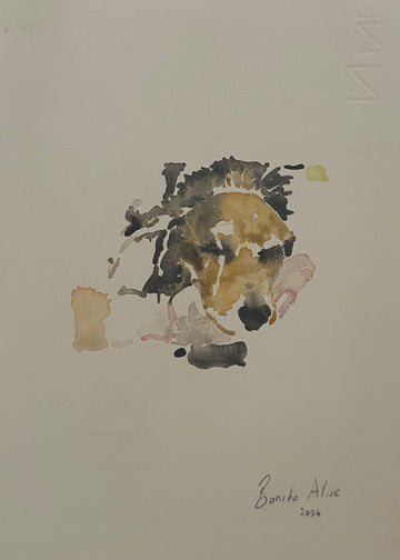 Dogs of Instagram 1