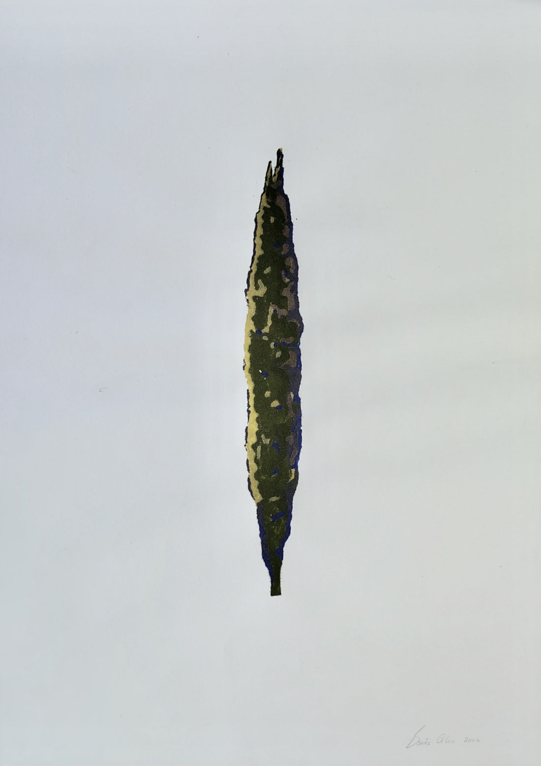Camouflage Cypress