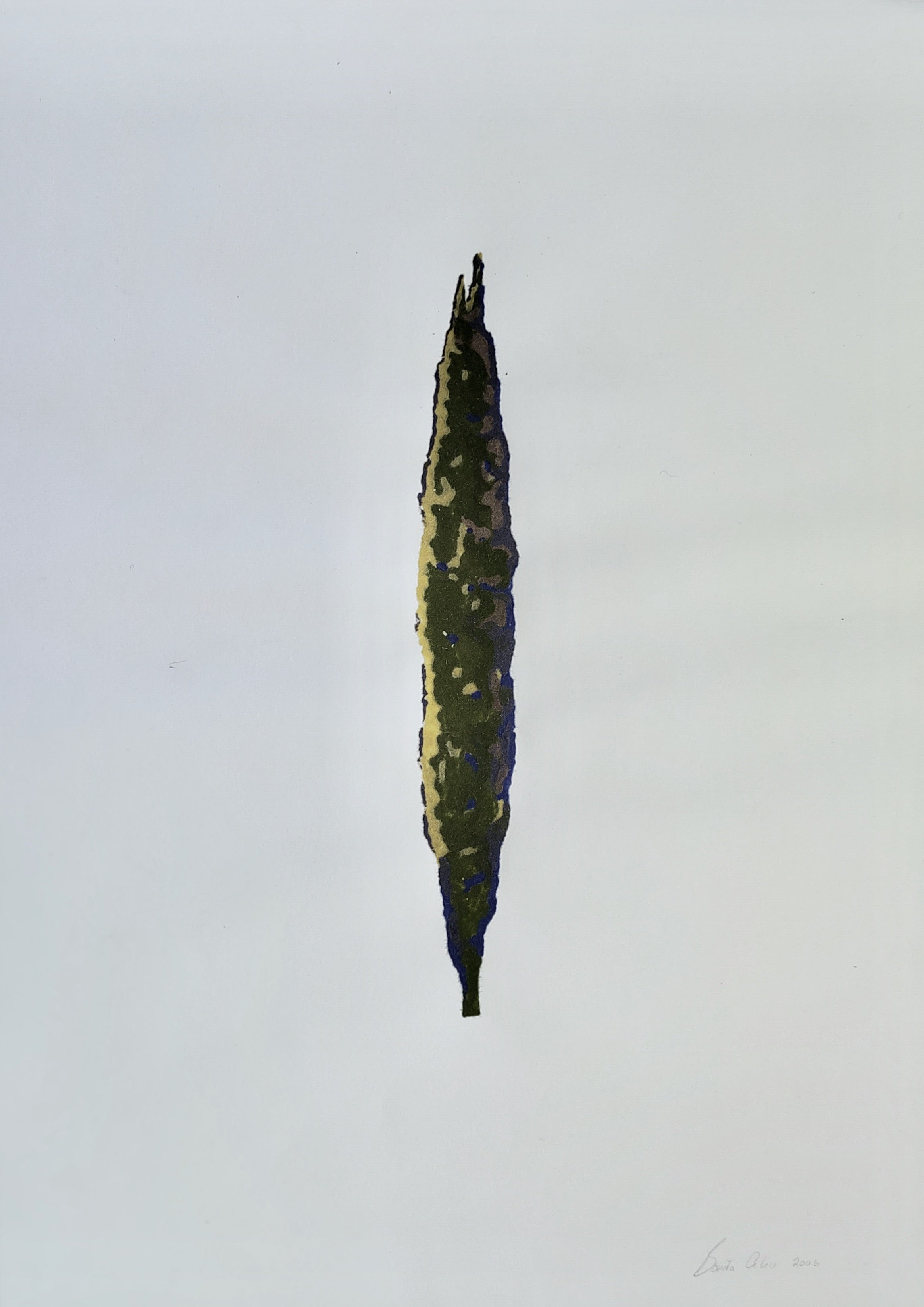 Camouflage Cypress