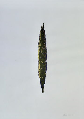 Camouflage Cypress
