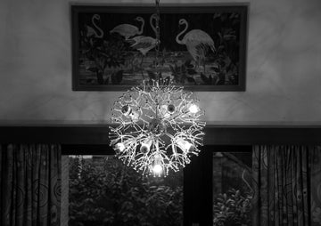 Silver Stars